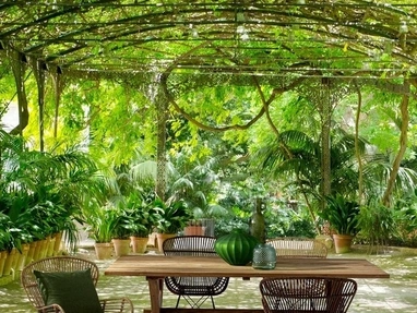 Poltroncina in rattan Venturs di Bizzotto
